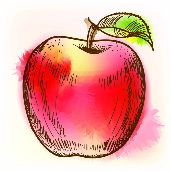 Czerwone Jabłko Oryginalna Ilustracja Wektora Imitacja Malarstwa Akwarelowego — Wektor stockowy