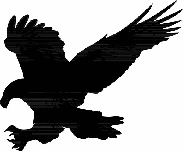 Silueta Águila Vector Signo Gráfico Ilustración — Archivo Imágenes Vectoriales