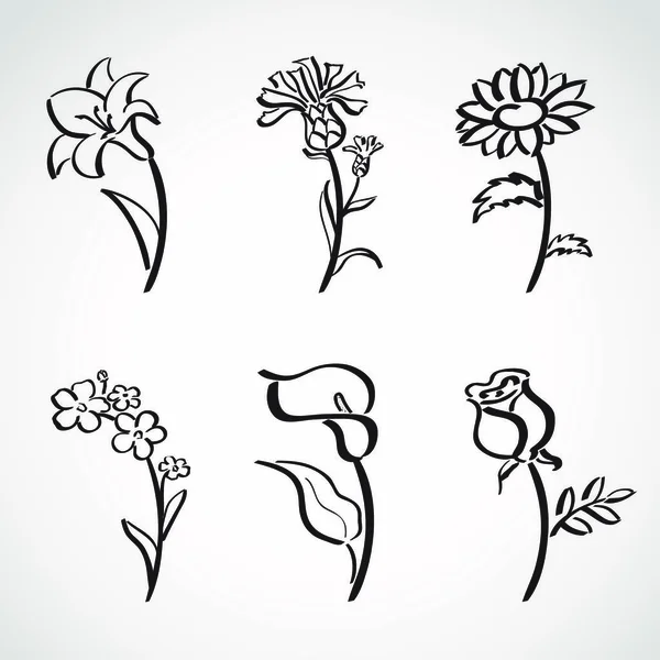 Estilo Tinta Dibujado Mano Conjunto Bocetos Flores Verano — Archivo Imágenes Vectoriales