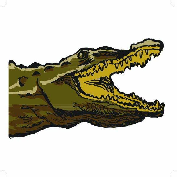 Kézimunka Rajzfilm Vázlat Illusztráció Krokodil — Stock Vector
