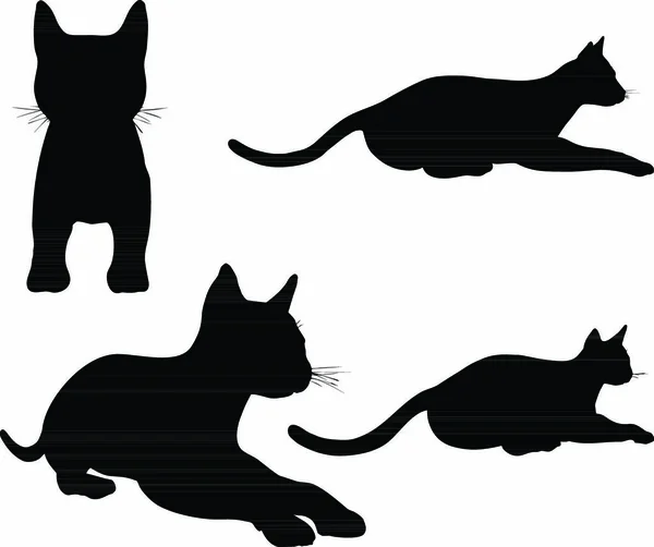 Eps Vectorverzameling Van Katten Silhouetten — Stockvector