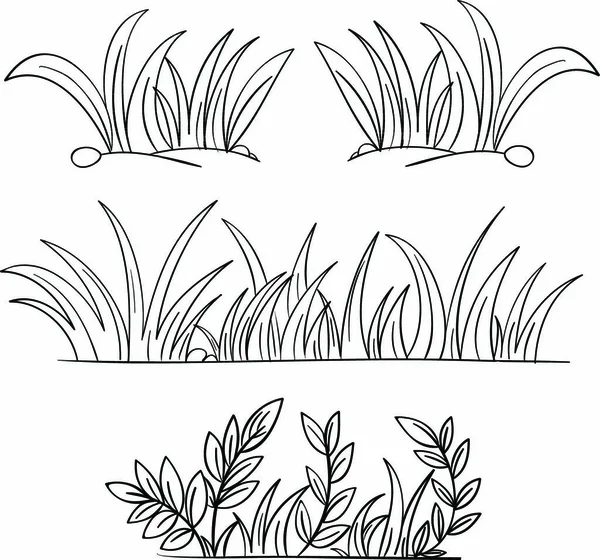 Ilustracja Konturów Trawy Roślin — Wektor stockowy