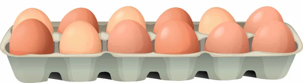 Illustrazione Uova Sfondo Bianco — Vettoriale Stock
