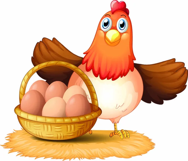 Illustration Hen Basket Egg White Background — Stock Vector