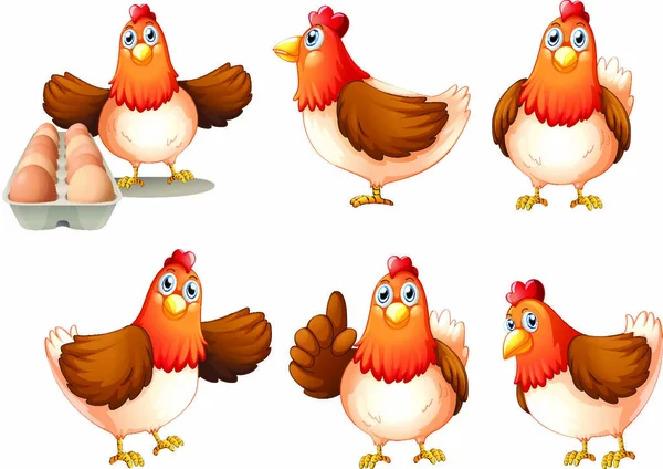 白い背景に描かれた6匹の太った鶏のイラスト — ストックベクタ