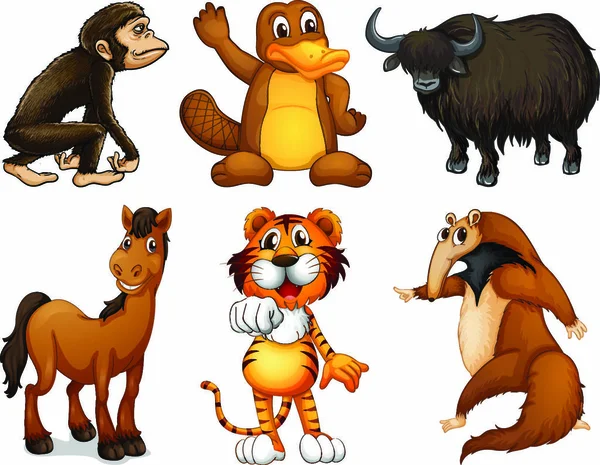 Ilustración Los Seis Tipos Diferentes Animales Cuatro Patas Sobre Fondo — Vector de stock