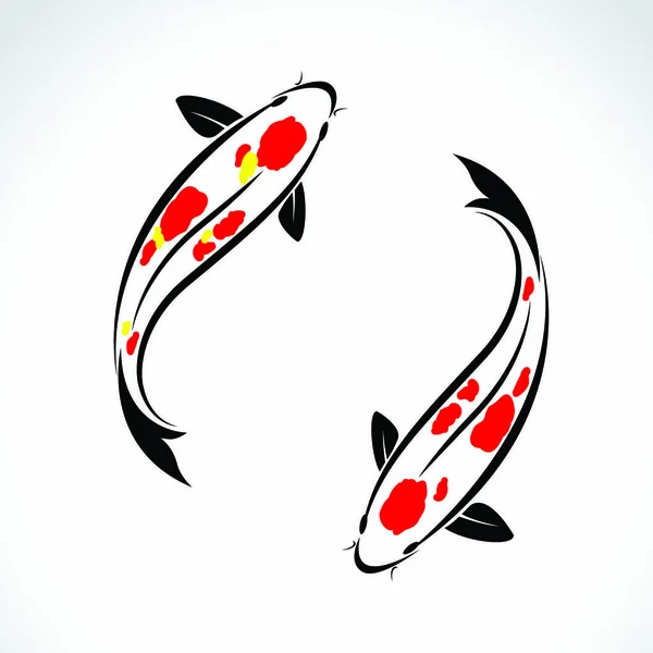Beyaz Arkaplanda Bir Sazan Balığının Vektör Resmi — Stok Vektör