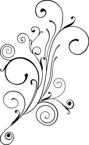 Ornamentos Florales Sobre Fondo Blanco Ilustración Vectorial — Vector de stock