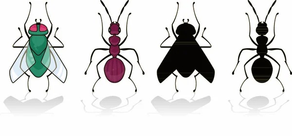 Fly Ant Isolated White His Silhouette — Stock Vector