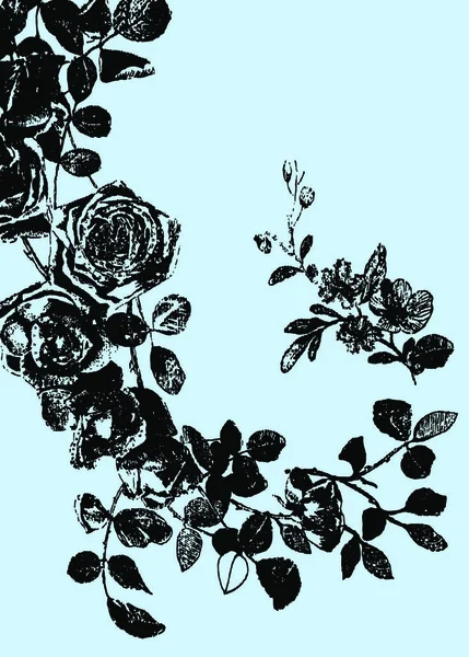 Троянда Ілюстрація Знак Графічна Ілюстрація — стоковий вектор