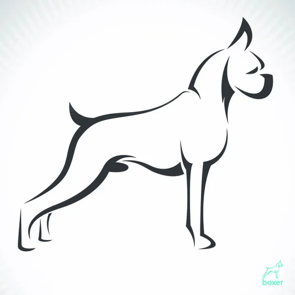 Διανυσματική Εικόνα Ενός Σκύλου Πυγμάχος Λευκό Φόντο — Διανυσματικό Αρχείο