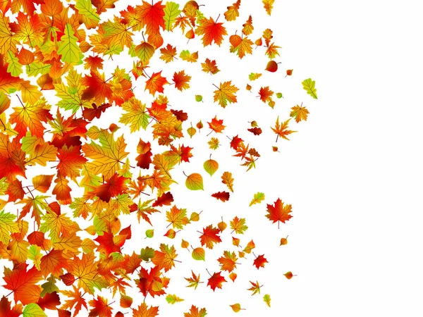 Падшие Осенние Листья Фона Включен Векторный Файл Eps — стоковый вектор