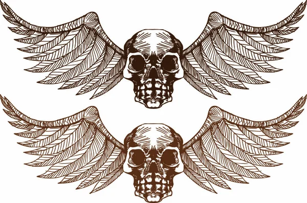 Set Winged Skulls — Stock Vector