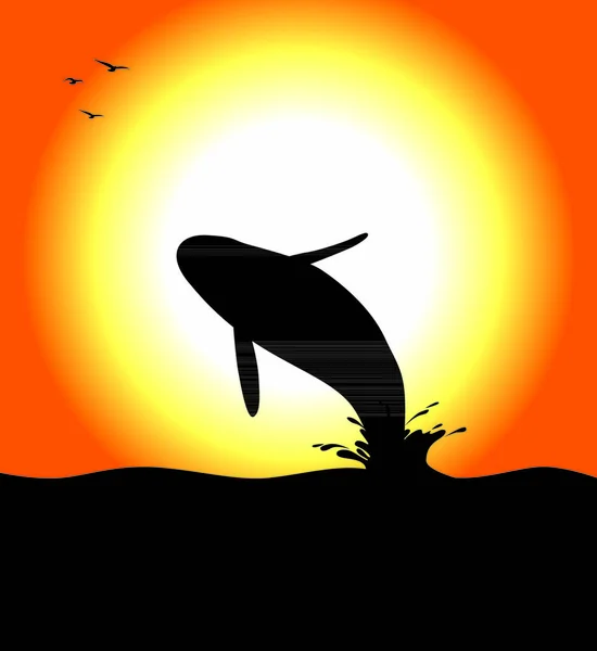 Una Silueta Ballena Orca Saltando Atardecer Ilustración Vectorial Editable — Vector de stock