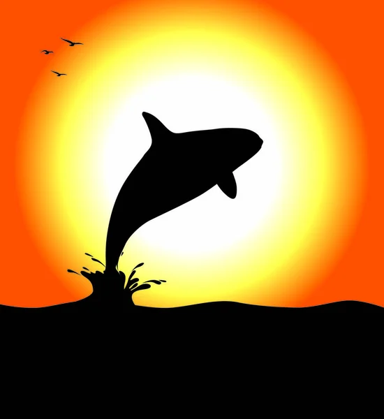 Una Silueta Ballena Orca Saltando Atardecer Ilustración Vectorial Editable — Vector de stock