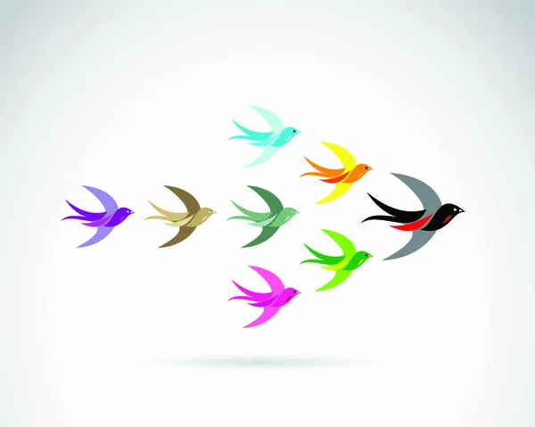 Векторная Группа Разноцветных Ласточковых Птиц Концепция Командной Работы — стоковый вектор