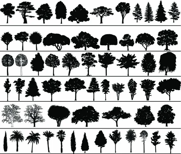 Set Black Silhouettes Vector Trees — Stock Vector