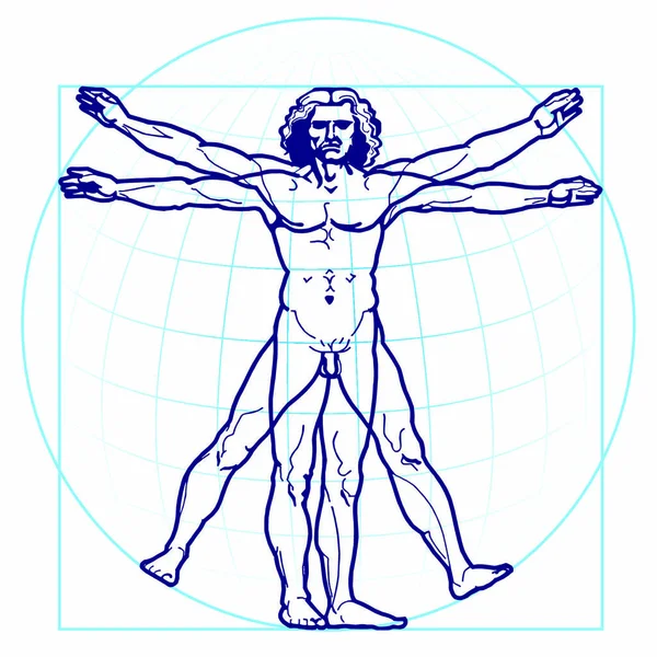 Leonardos Vitruvian Man Vit Bakgrund — Stock vektor