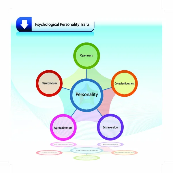 Psychological Personality Traits Chart Diagram Stock Vector Image by