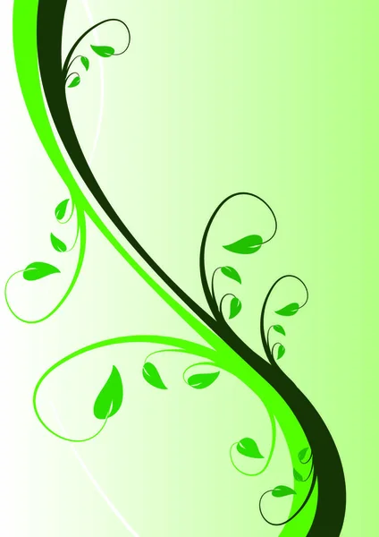 Una Ilustración Fondo Floral Verde Con Espacio Para Texto — Vector de stock