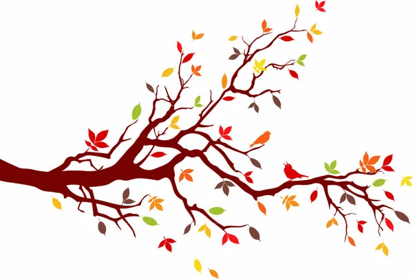 Árbol Otoño Con Hojas Coloridas Vector — Vector de stock