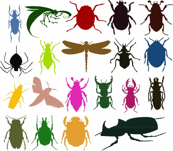 Silhouetten Van Insecten Van Verschillende Kleuren Een Vector Illustratie — Stockvector