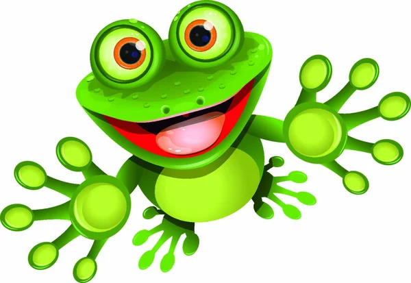 Illustration Joyeuse Grenouille Verte Avec Oeil Grand — Image vectorielle