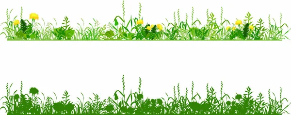 草原のハーブ 花のタンポポ — ストックベクタ