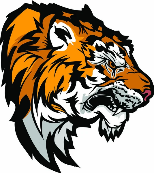 Grafikus Kabala Profil Egy Snarling Tigris Fej Képe — Stock Vector