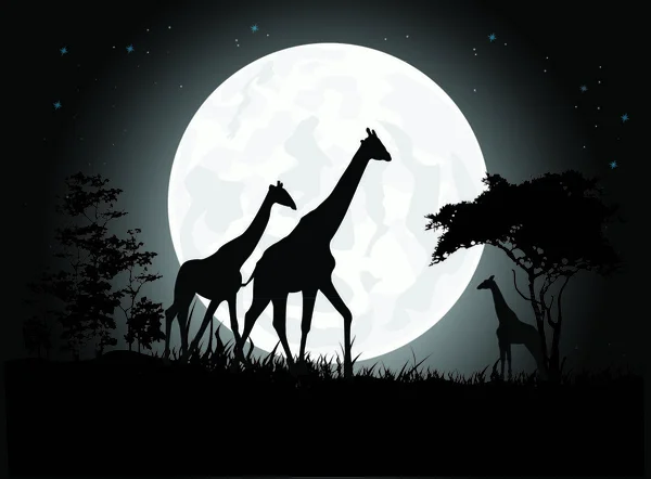 Illustration Vectorielle Belles Silhouettes Famille Girafe Avec Fond Lunaire Géant — Image vectorielle