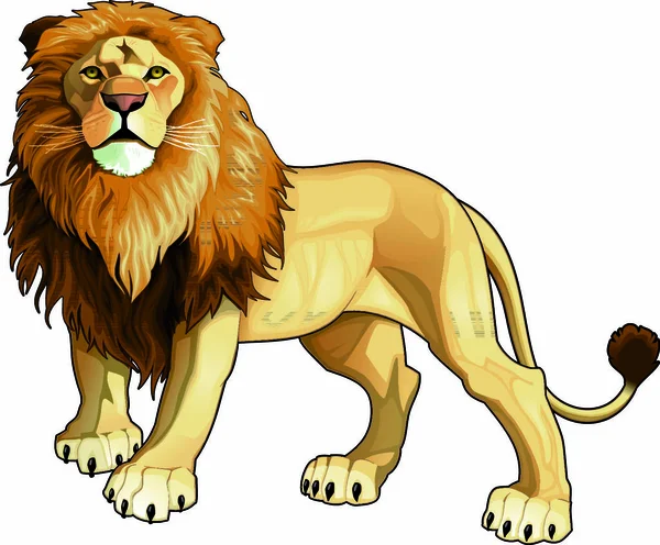 狮子王病媒隔离动物 — 图库矢量图片