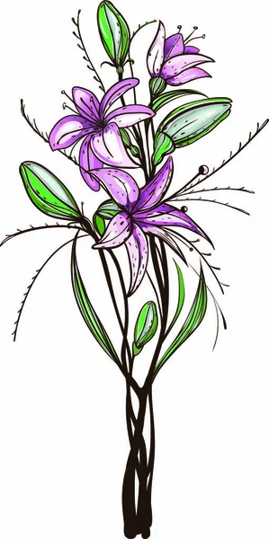 ユリの花ベクトル図 Eps8 — ストックベクタ