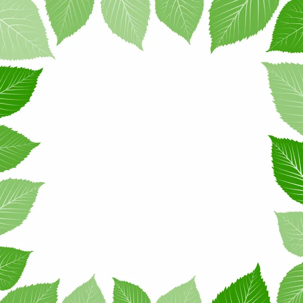 Frame Green Leaf — Stock Vector