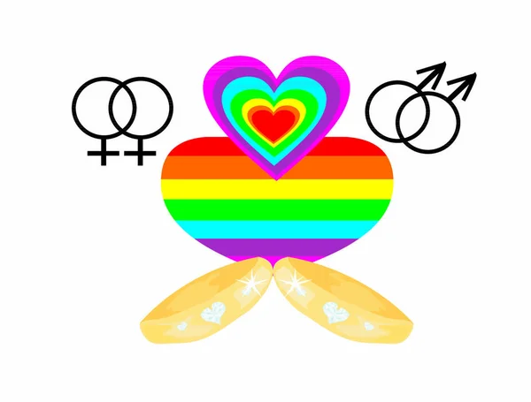 Gay Marriage Icons Vector Illustration — Stock Vector