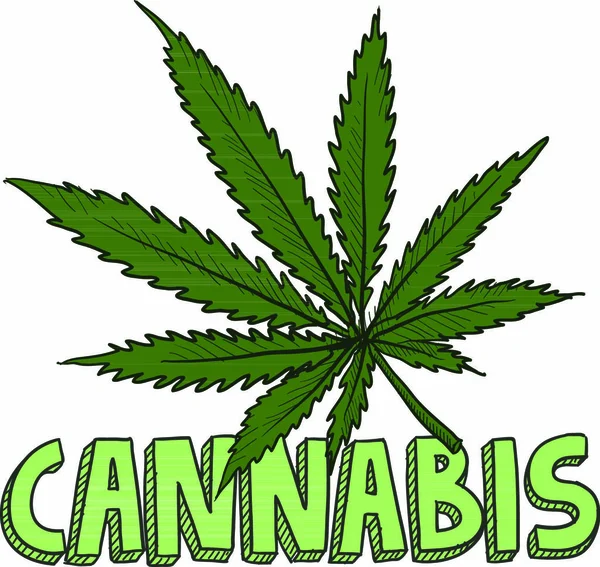 Doodle Estilo Cannabis Marijuana Folha Esboço Formato Vetorial Inclui Planta — Vetor de Stock