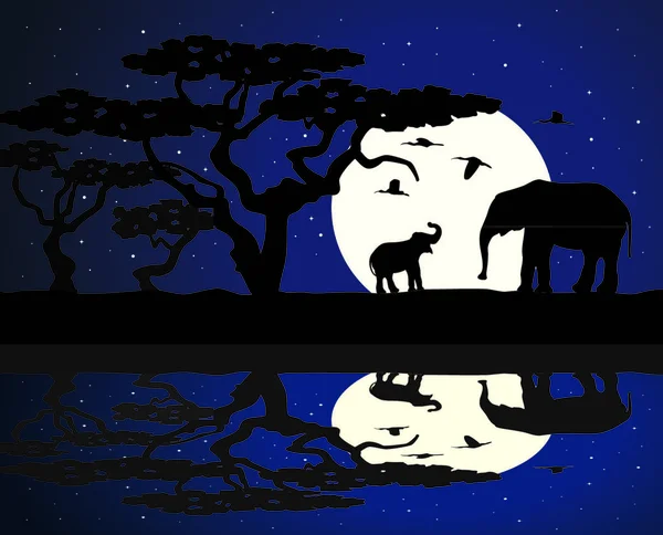 Vecteur Mère Éléphant Bébé Éléphant Afrique Près Eau Nuit — Image vectorielle