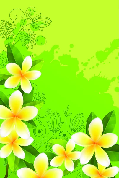 Friss Zöld Levelekkel Fehér Virágokkal Díszített Keret — Stock Vector