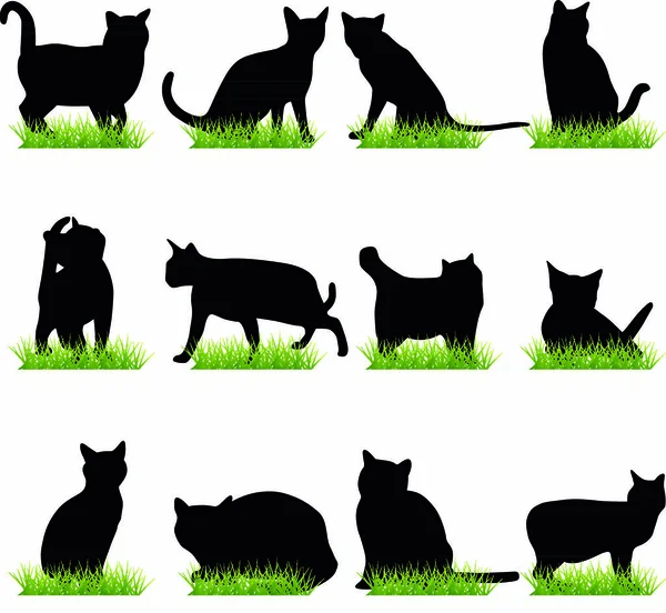 Katter Silhuetter Som Tecken Grafisk Illustration — Stock vektor
