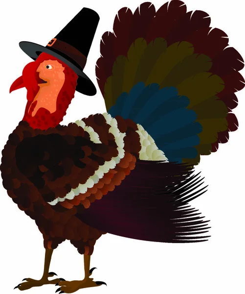 Illustration Eines Thanksgiving Truthahns — Stockvektor