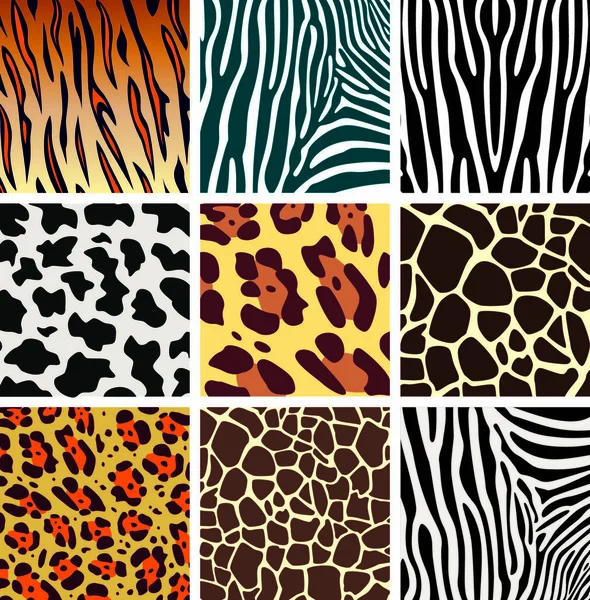 Vector Piel Animal Texturas Tigre Cebra Jirafa Leopardo Vaca — Vector de stock