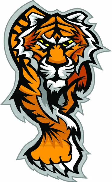 Imagem Vetorial Mascote Gráfico Corpo Tigre —  Vetores de Stock