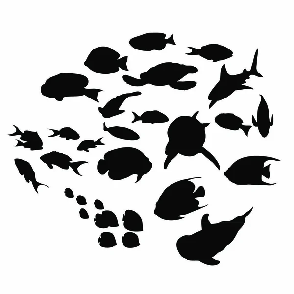 Silhouette Pesce Collezione Segno Grafico Illustrazione — Vettoriale Stock