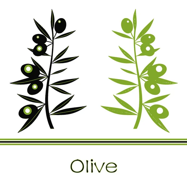 黒と緑のオリーブの枝のシルエット — ストックベクタ