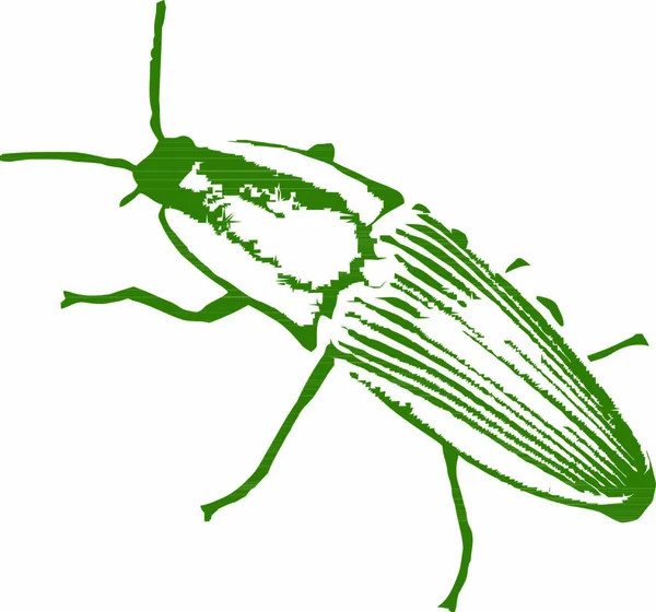 Imagen Vectorial Escarabajo — Archivo Imágenes Vectoriales