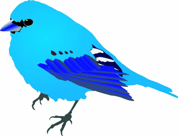 Güzel Mavi Kuş Vektör — Stok Vektör