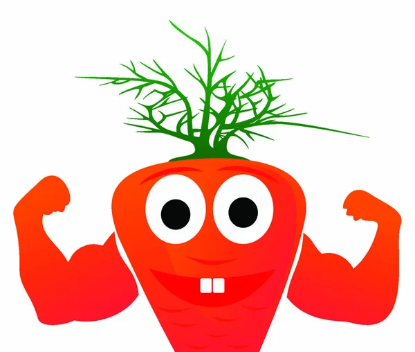 Las Zanahorias Anaranjadas Saludables Muestran Fuerza Una Ilustración Vectorial — Vector de stock