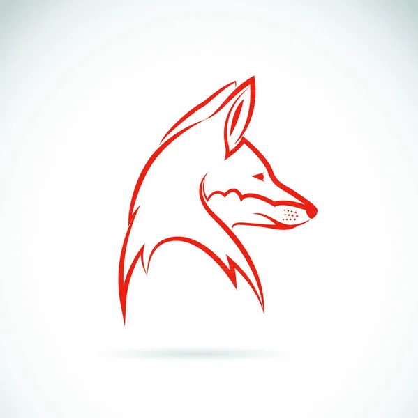 Vector Image Fox Head White Background — Stock Vector
