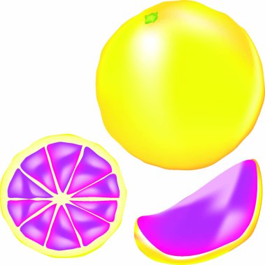 Textured vector illustration of a whole grapefruit, slice, and wedge vector