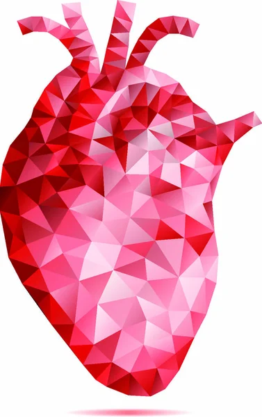 Абстрактное Низкое Поли Человеческое Сердце Геометрическим Рисунком Вектором — стоковый вектор