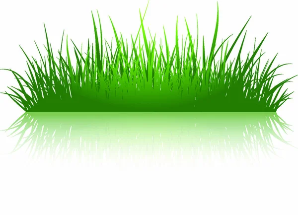 Zelená Tráva Ilustrace Přes Bílé Pozadí — Stockový vektor